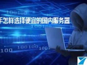 新手怎样选择便宜的国内服务器