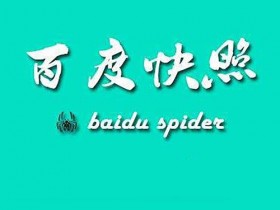 网站出现两个快照是什么情况,应该怎样解决