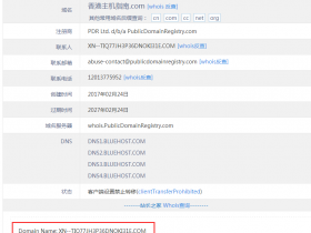 中文域名与英文域名有什么区别